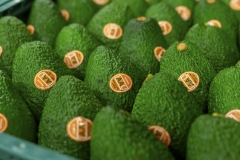 Aongatete_avocados_pack-4-of-20